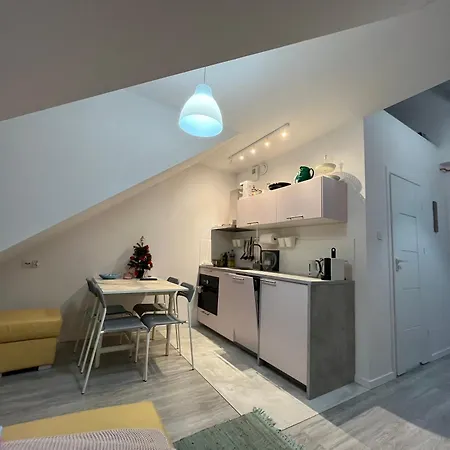 Bursztynowe Wybrzeze Apartment Mikoszewo